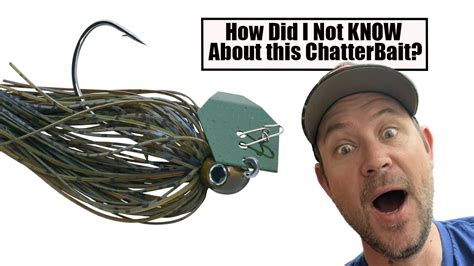 chatterbait live webcams